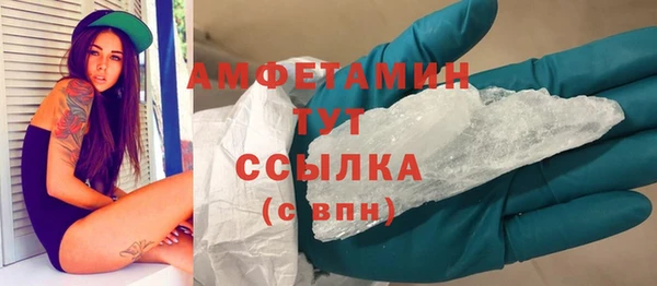 стаф Богданович