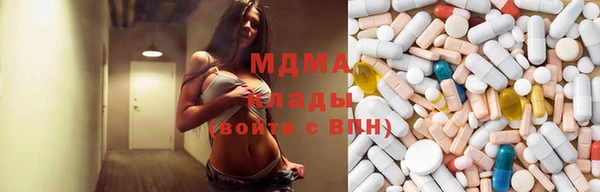 прущие грибы Новодвинск