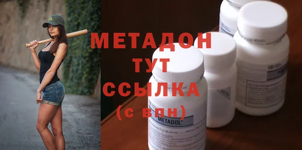 прущие грибы Новодвинск