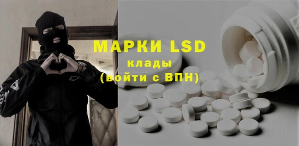 прущие грибы Новодвинск