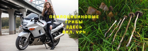 ГАЛЛЮЦИНОГЕННЫЕ ГРИБЫ Бронницы