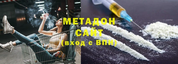 прущие грибы Новодвинск