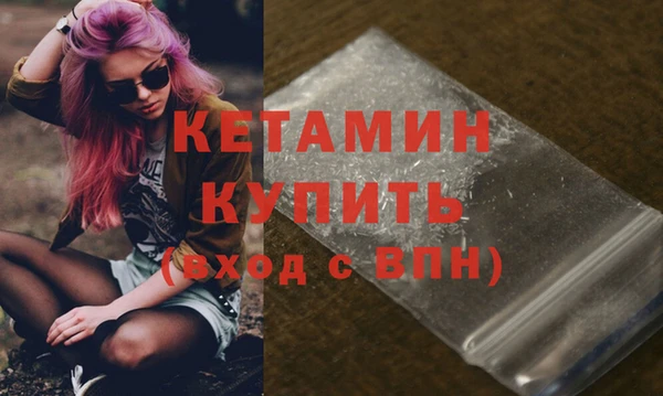 прущие грибы Новодвинск