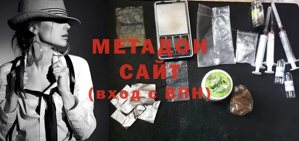 прущие грибы Новодвинск
