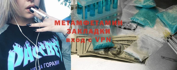 прущие грибы Новодвинск
