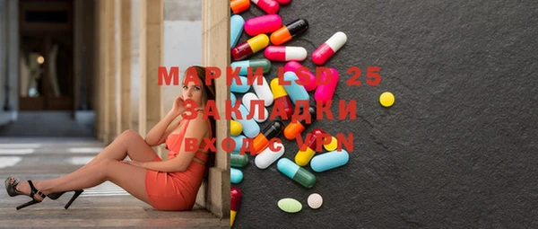 прущие грибы Новодвинск